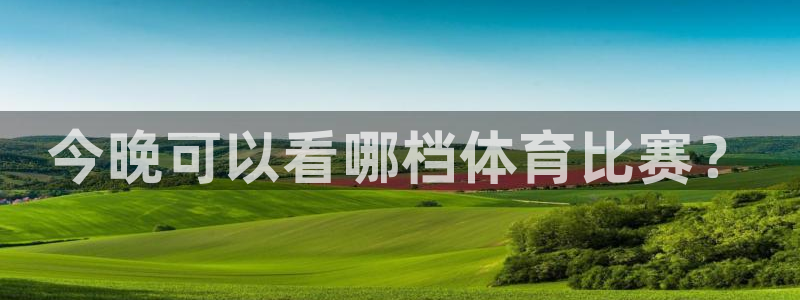 今晚可以看哪档体育比赛？