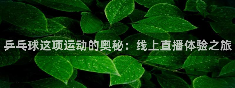 乒乓球这项运动的奥秘：线上直播体验之旅