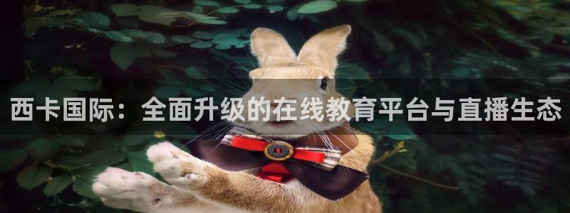 西卡国际：全面升级的在线教育平台与直播生态