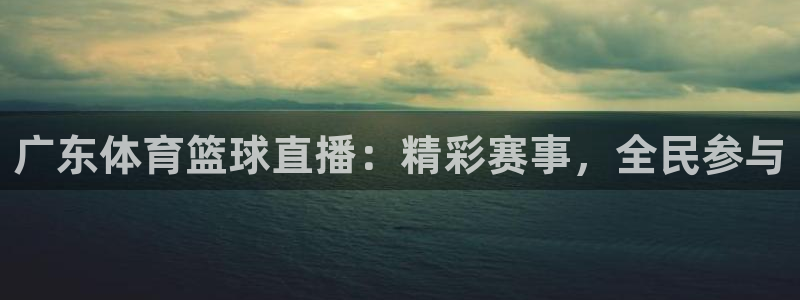 广东体育篮球直播：精彩赛事，全民参与