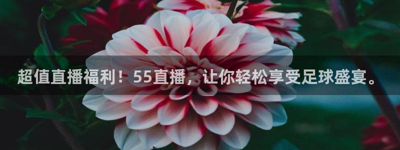 超值直播福利！55直播，让你轻松享受足球盛宴。